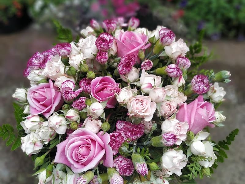 Fleur d'Agdal photo 5