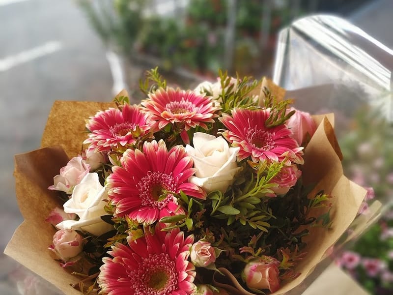 Fleur d'Agdal photo 6