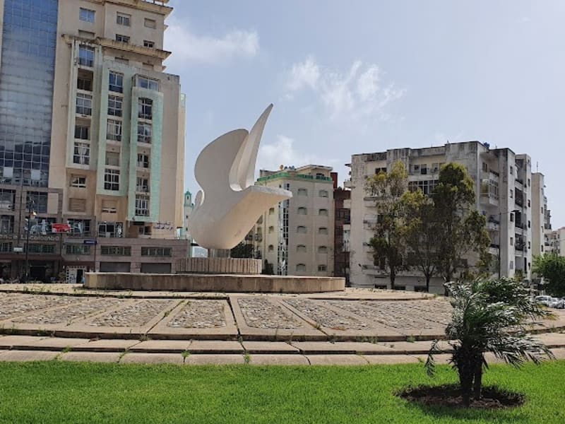 Paloma Blanca photo 2