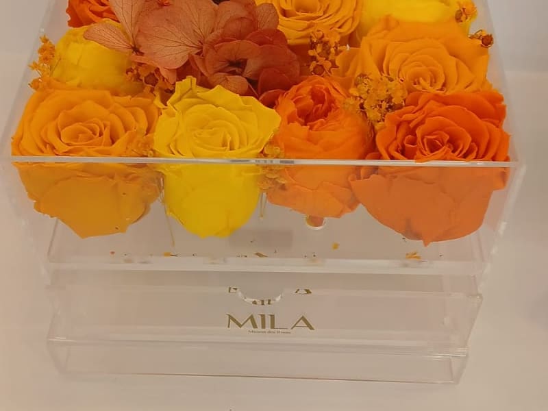 MILA Maison Des Roses photo 3