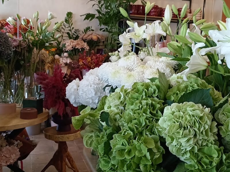 Parmi les fleurs marrakech photo 4