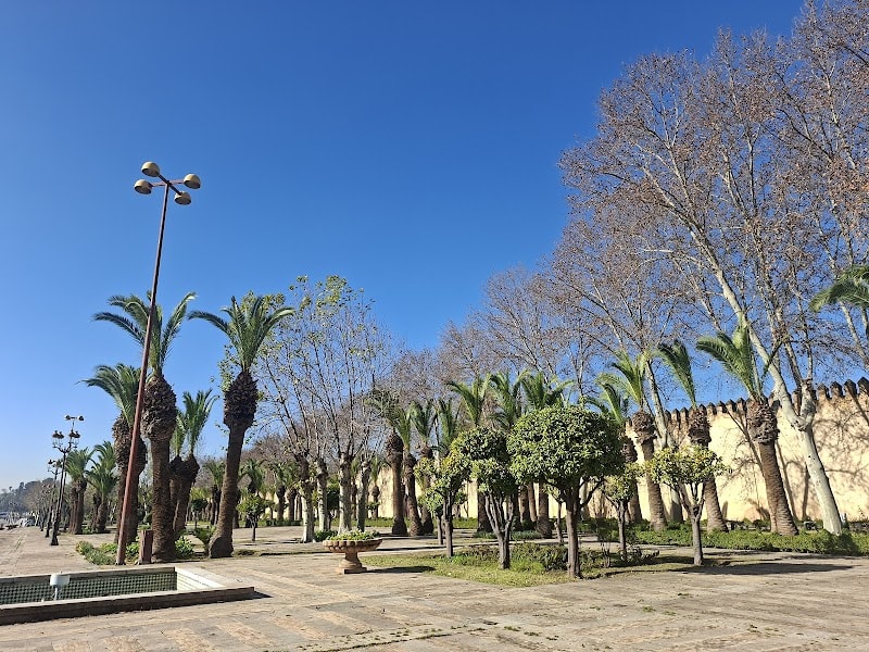 Palais Royal photo 4