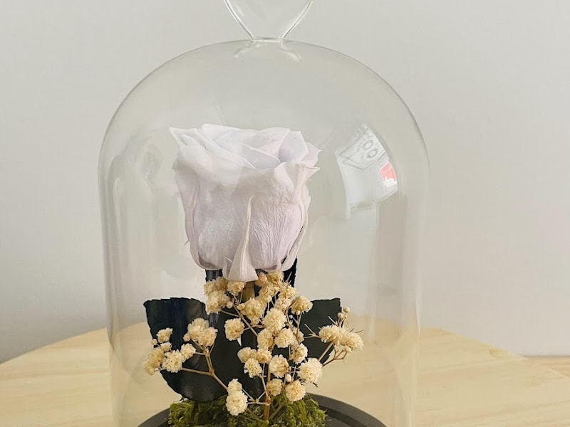 Bichri Fleurs photo 4