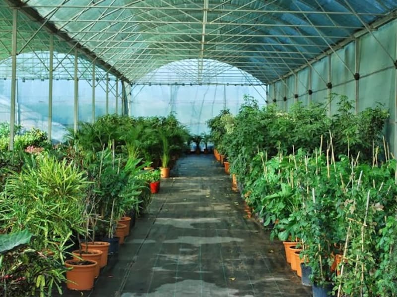 Plantarium pépinière photo 2