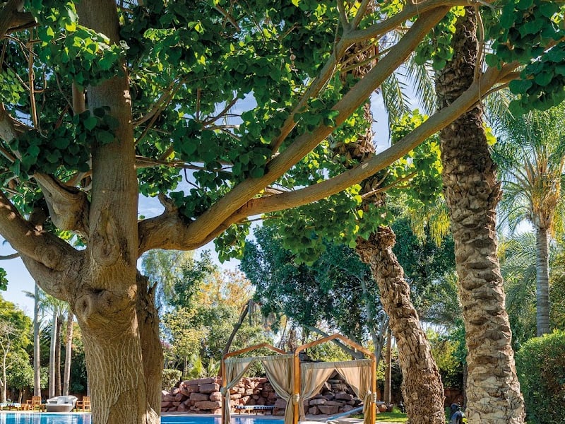 Palace - Es Saadi Marrakech Resort photo 6