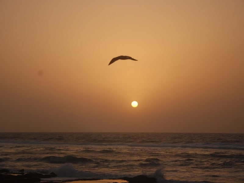 Labo Photo Essalamمختبر الصور السلام ( Photo Khettari)تصوير الخطاري photo 4