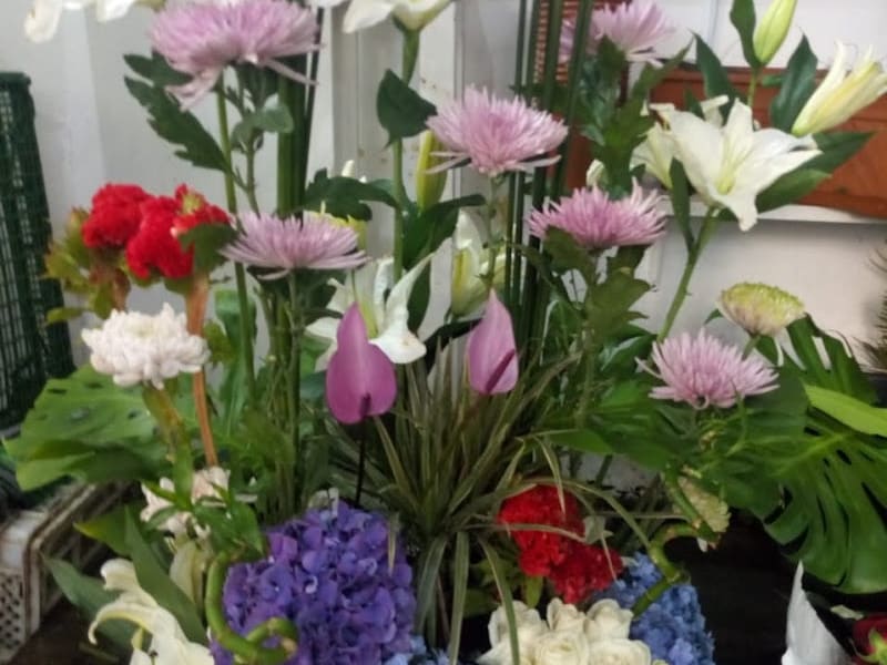 Hélène Fleurs photo 2
