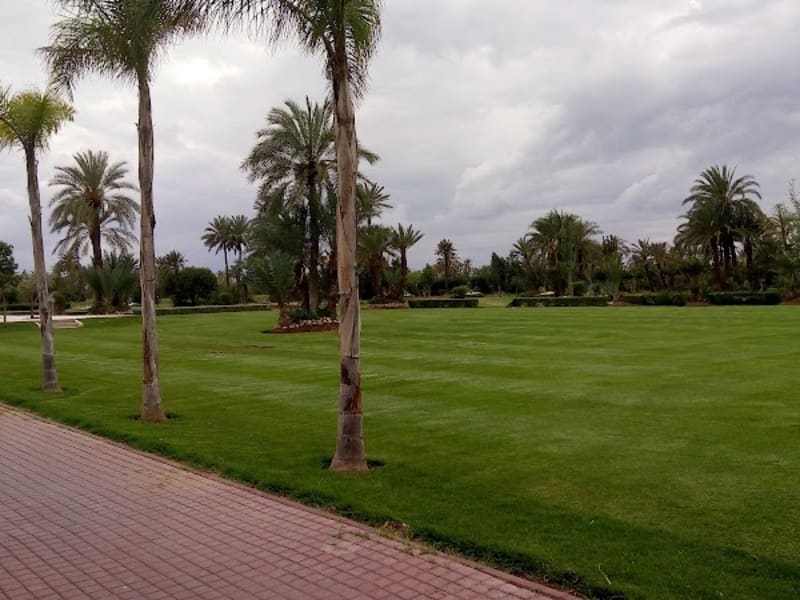 Palm Events Marrakech photo 4