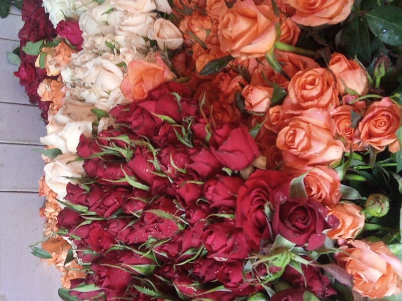 Fleuriste Marrakech Belaid photo 3