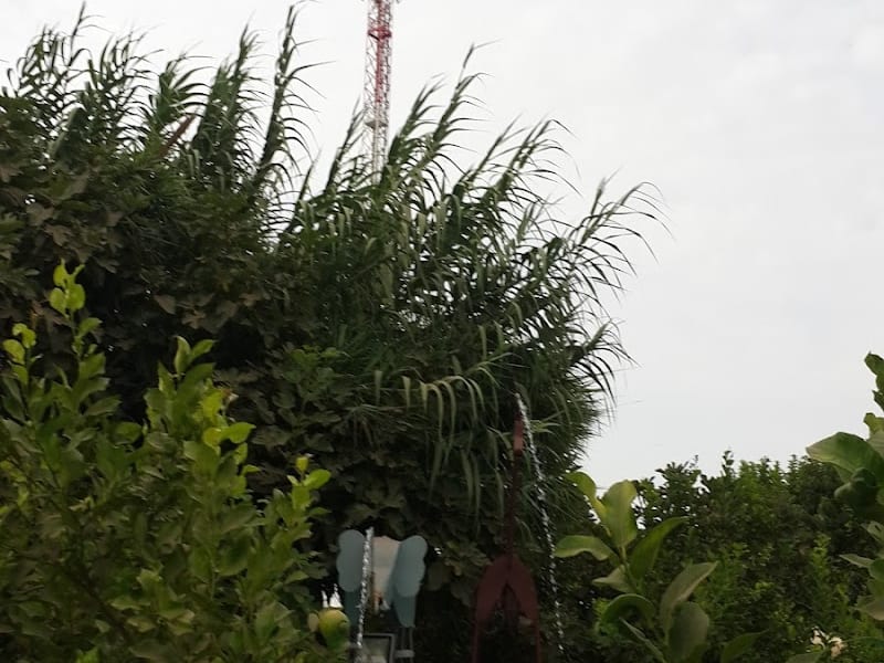 Oulja Gardens photo 4