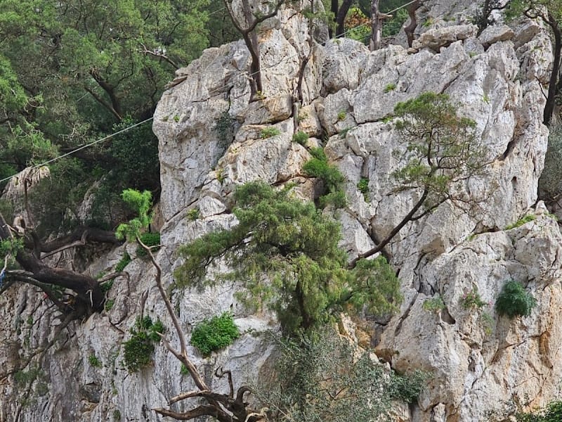 Cascades d'Ain Zarqa photo 5