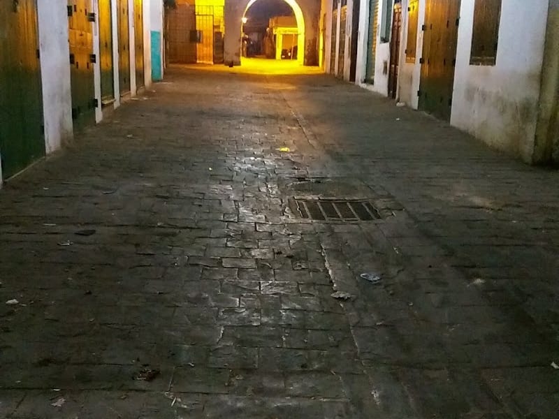 Bab Nouader (Puerta de Fez) photo 2