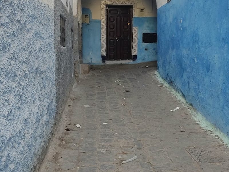 Bab Nouader (Puerta de Fez) photo 6