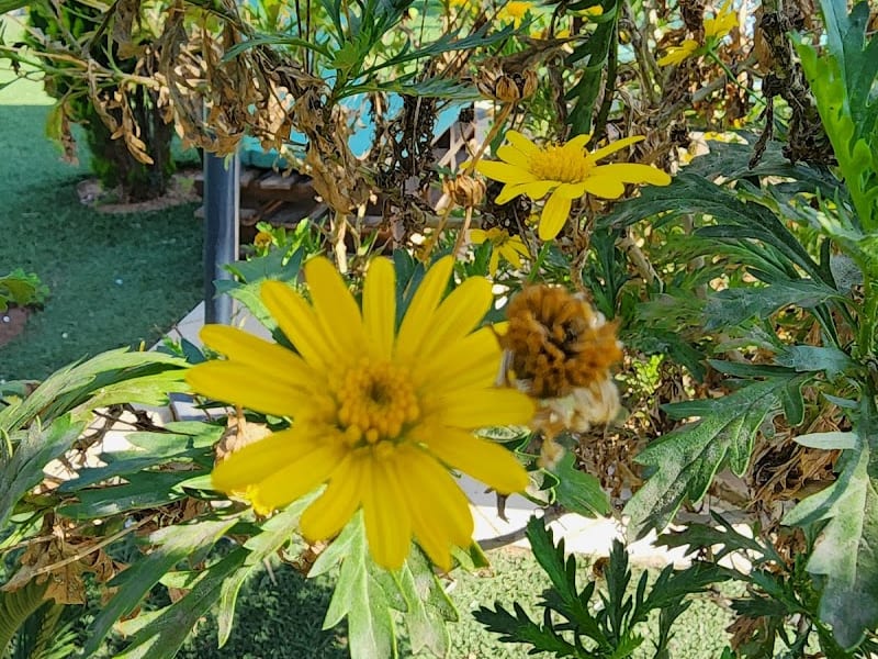 Dar el marjane photo 6