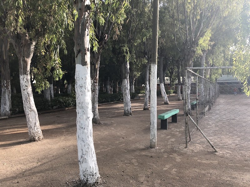 Salle De Fête قاعة الحفلات photo 3