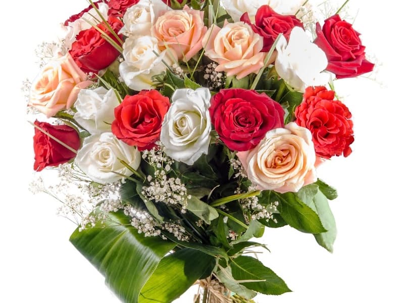 Flowers Messari photo 3