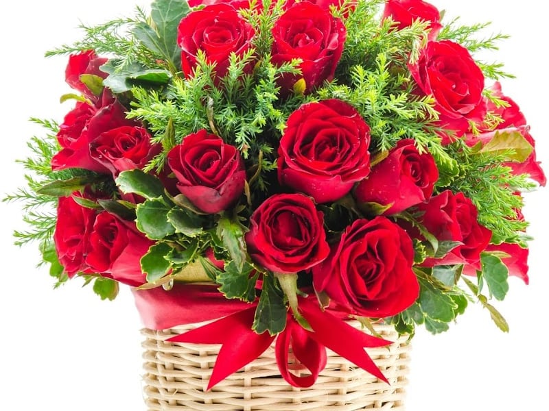 Flowers Messari photo 4