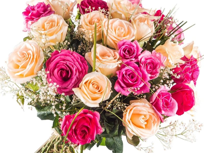 Flowers Messari photo 6