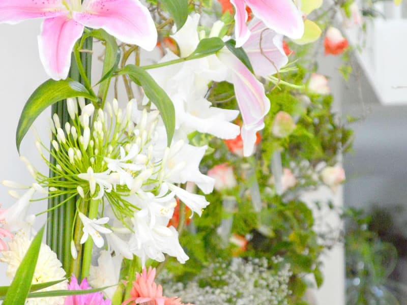Flowerbox photo 4