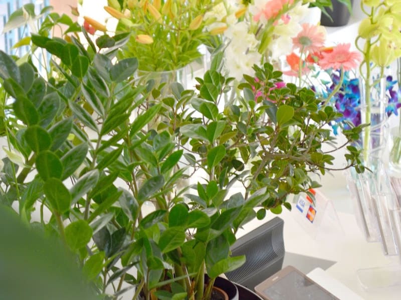 Flowerbox photo 5
