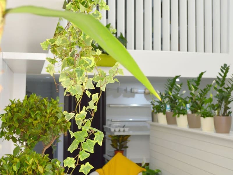 Flowerbox photo 6