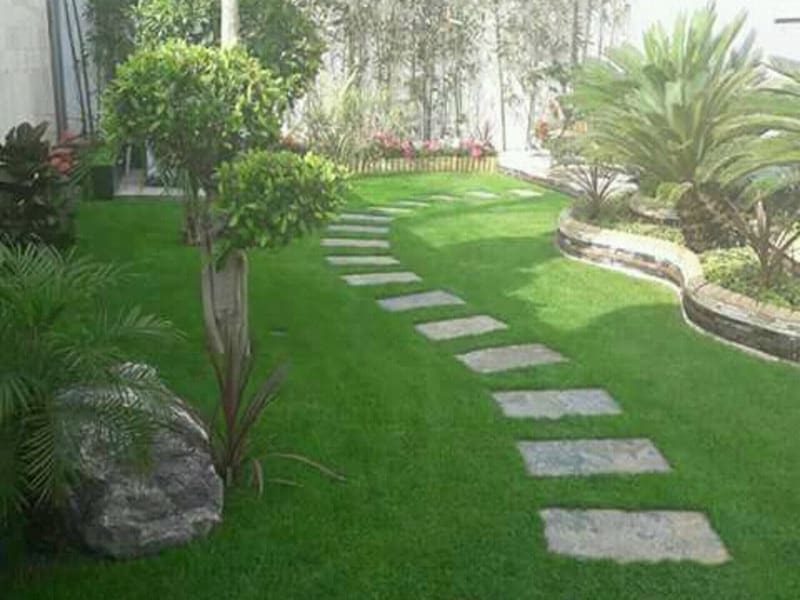 Fleuriste Paysagiste ARBRE D’OR photo 3