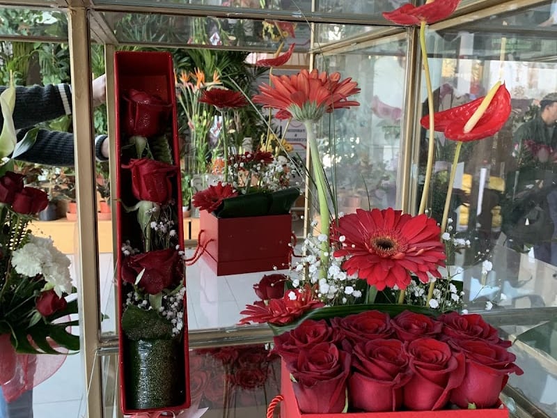 Fleuriste Paysagiste ARBRE D’OR photo 6