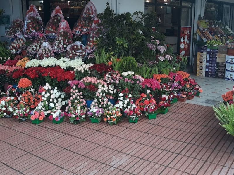 Fleuriste agdal photo 5