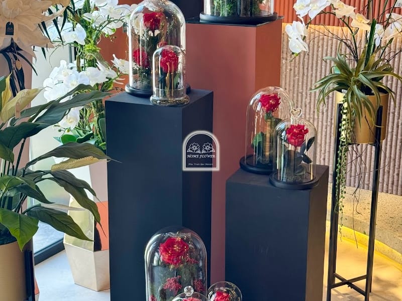 𝐇𝐎𝐌𝐄 𝐅𝐋𝐎𝐖𝐄𝐑 Bd El Qods photo 6