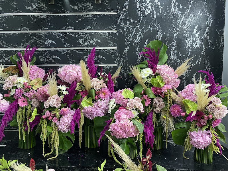 Galaxie Fleurs photo 4