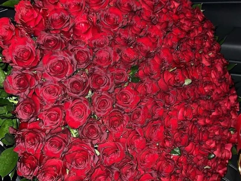 Roseland photo 3