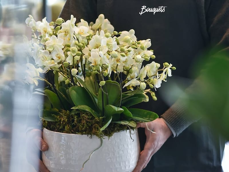 Bouquets photo 4