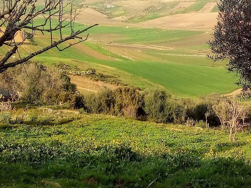 Zinat Tetouan photo 6