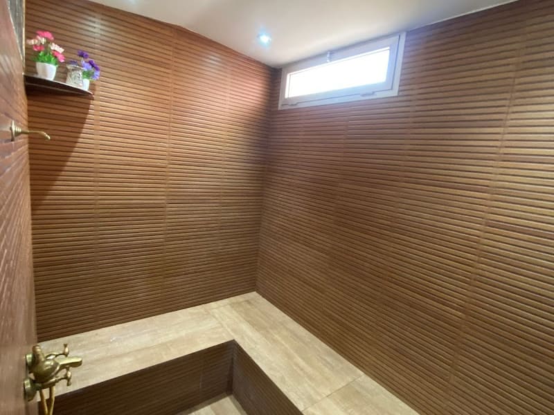 OTH SPA photo 2