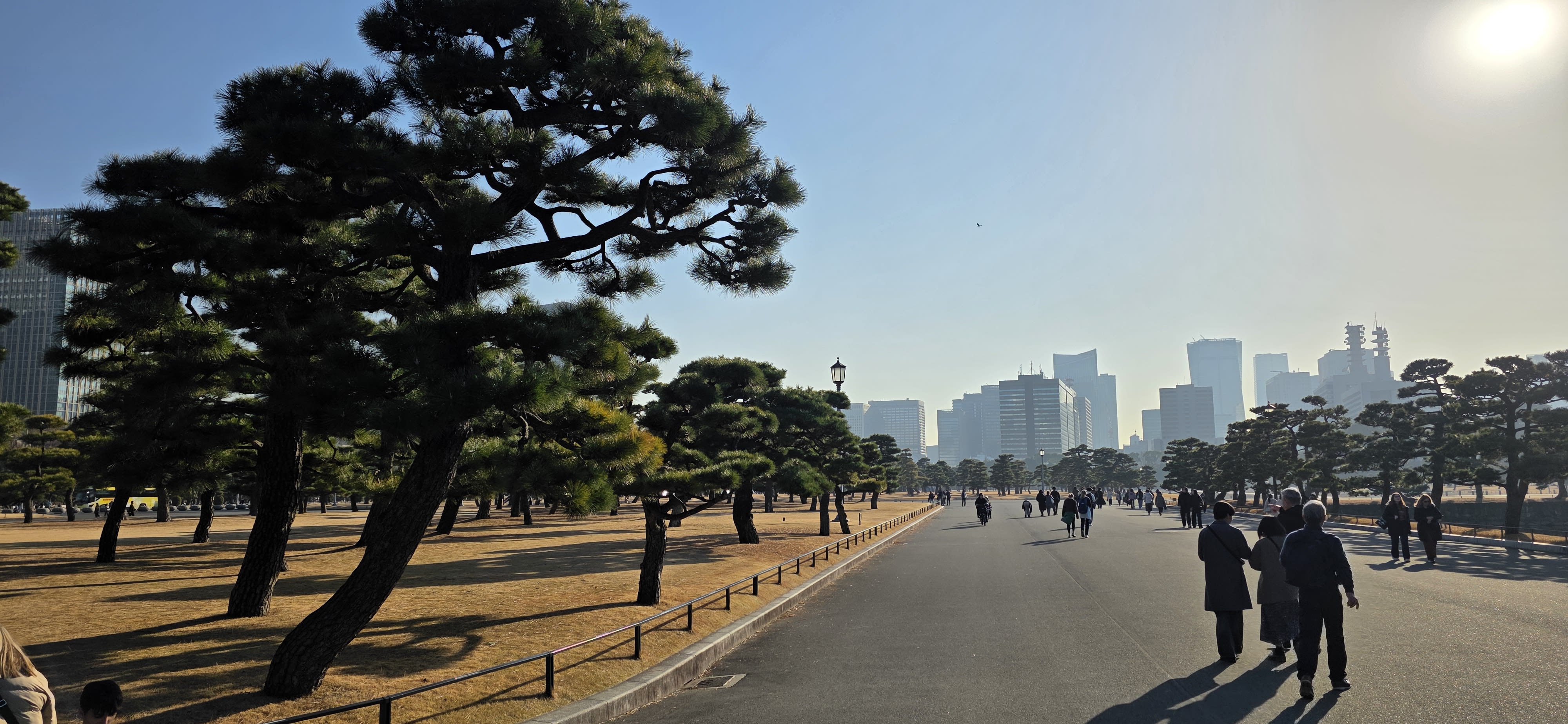 eSIM for Japan: Which to Get and How to Set It Up (2026)