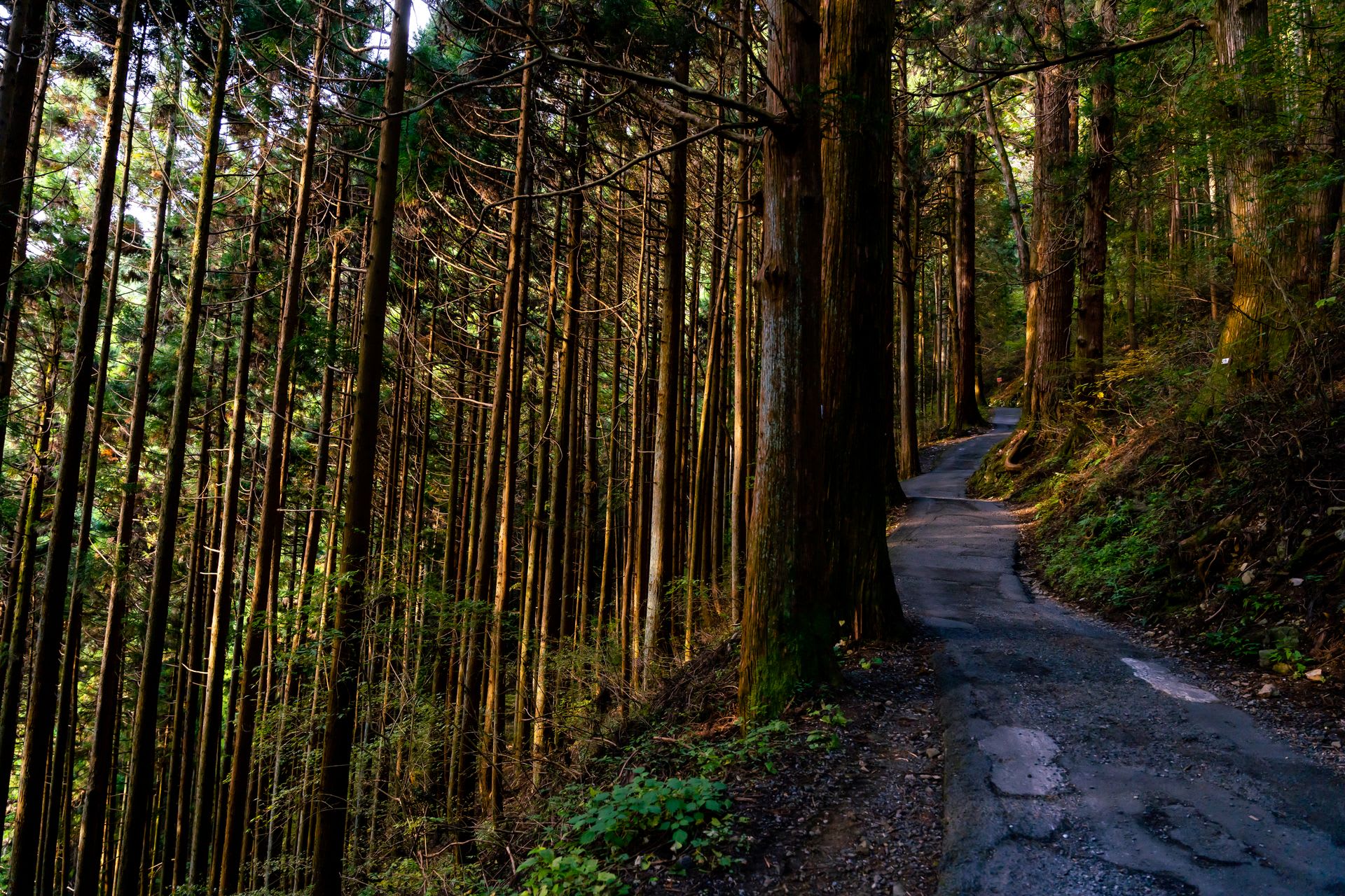 Japan in October: Weather, Festivals and Where the Color Starts