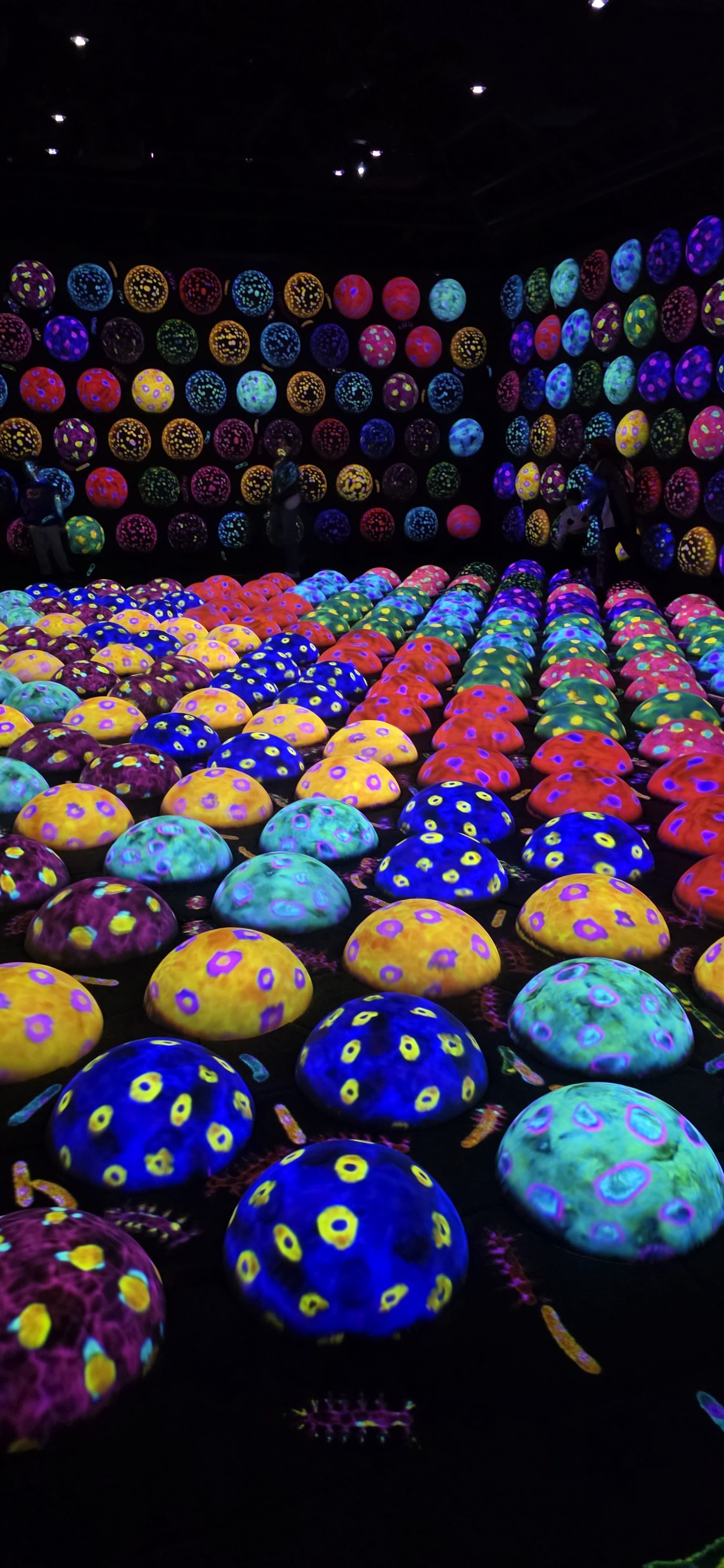 teamLab Borderless: Japan's Immersive Art Guide (2026)