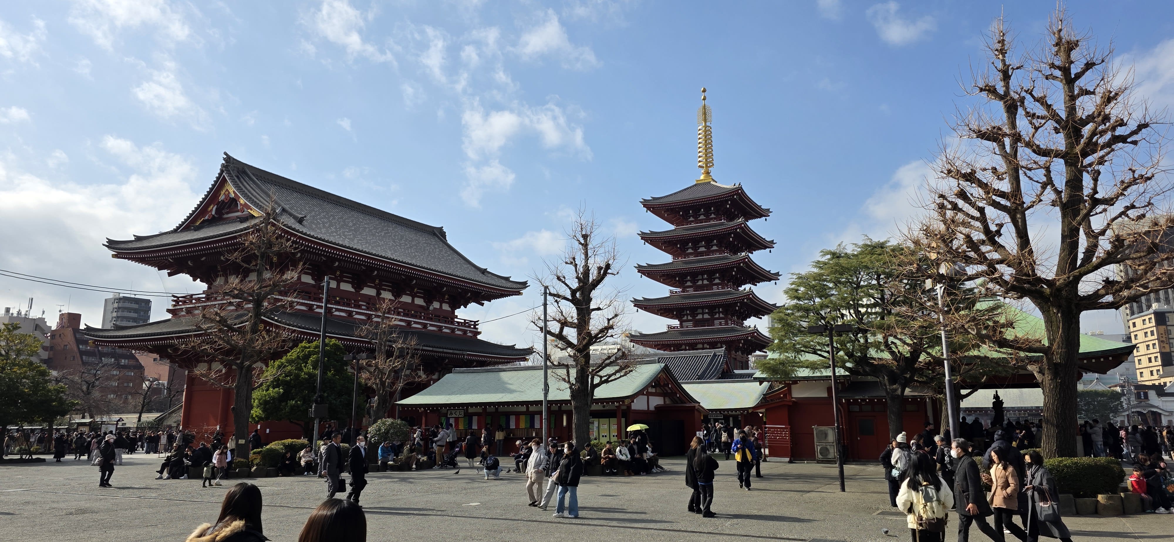 Where to Stay in Tokyo: Best Areas From ¥10,000 a Night (2026)