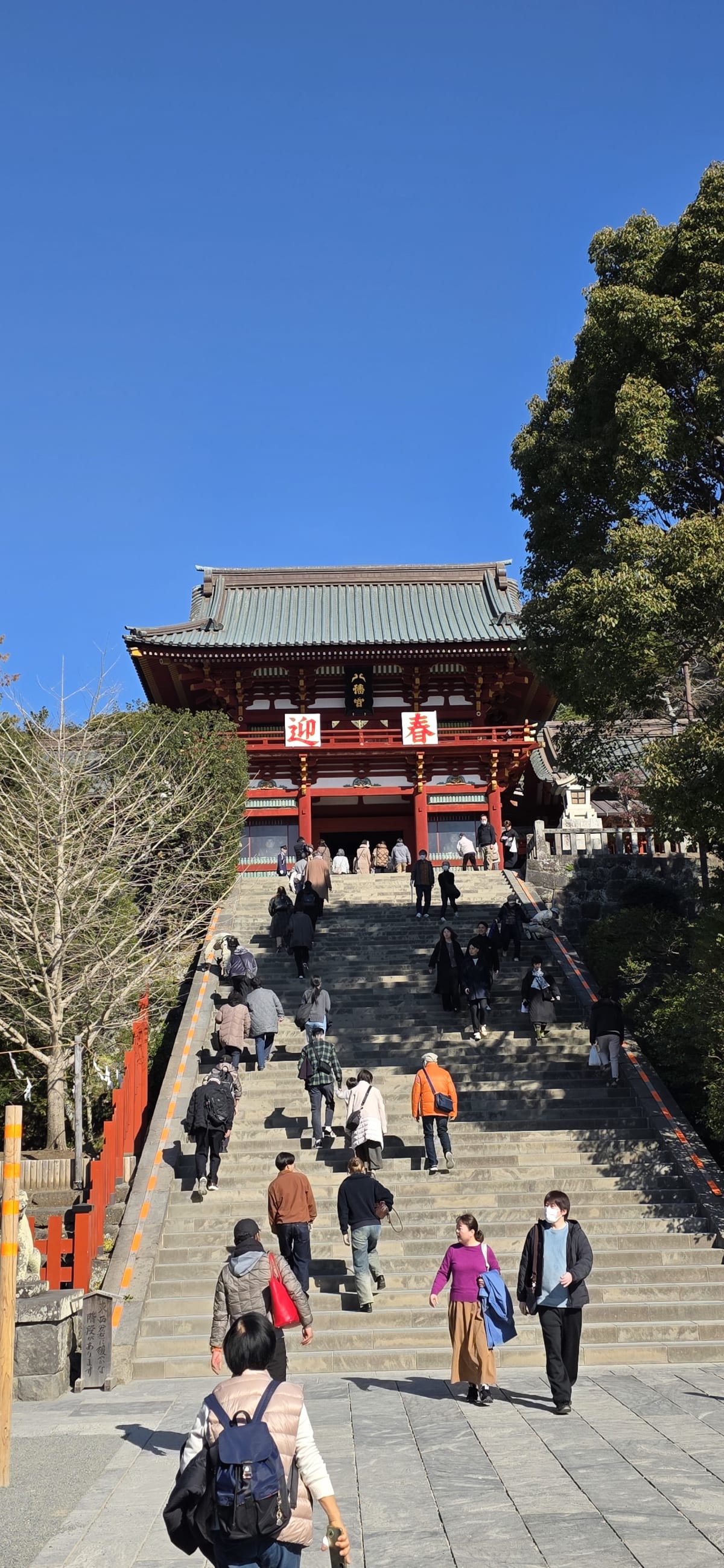 The wide stone approach and main hall of Tsurugaoka Hachimangu