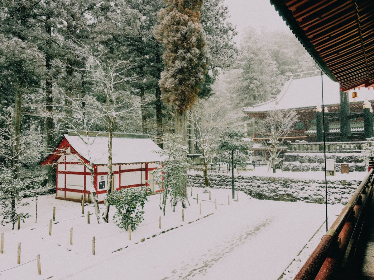 Red-lacquered halls of Nikko Toshogu under fresh snow among tall cedars