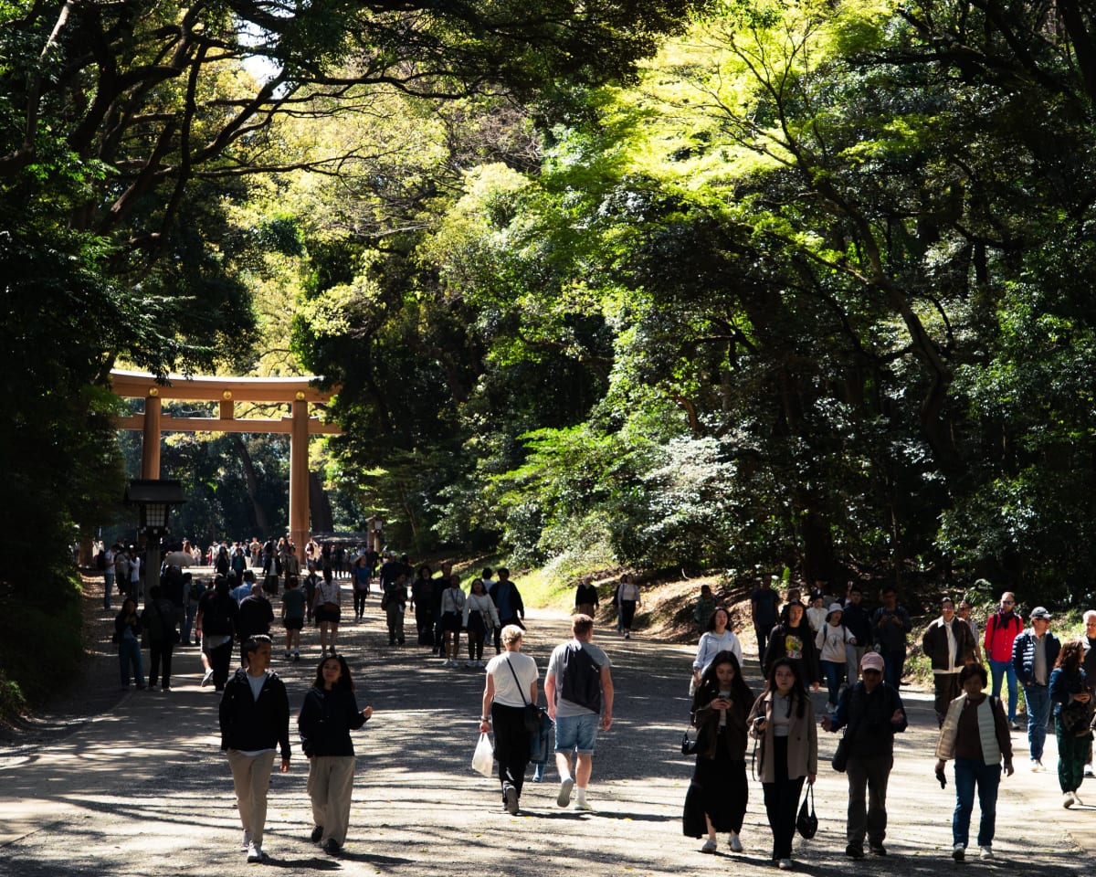 Visitors walking the forest approach toward the giant wooden torii of Meiji Jingu