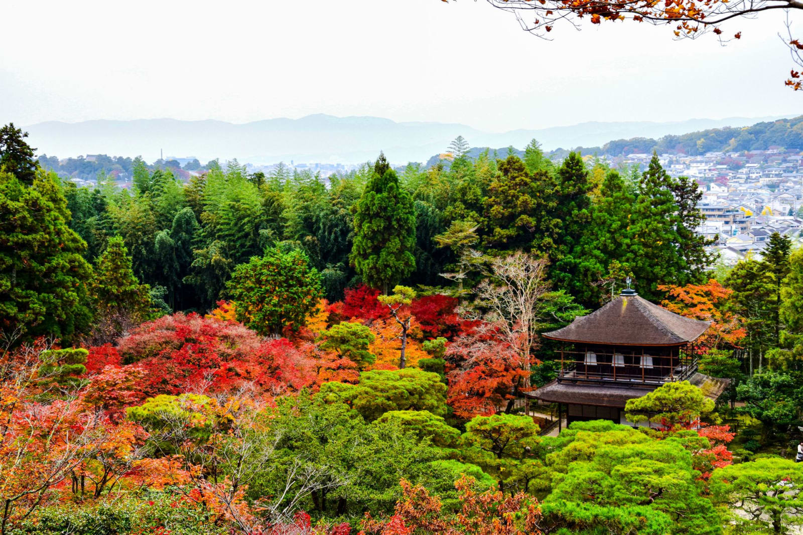 The Best Day Trips from Kyoto, Ranked (2026)