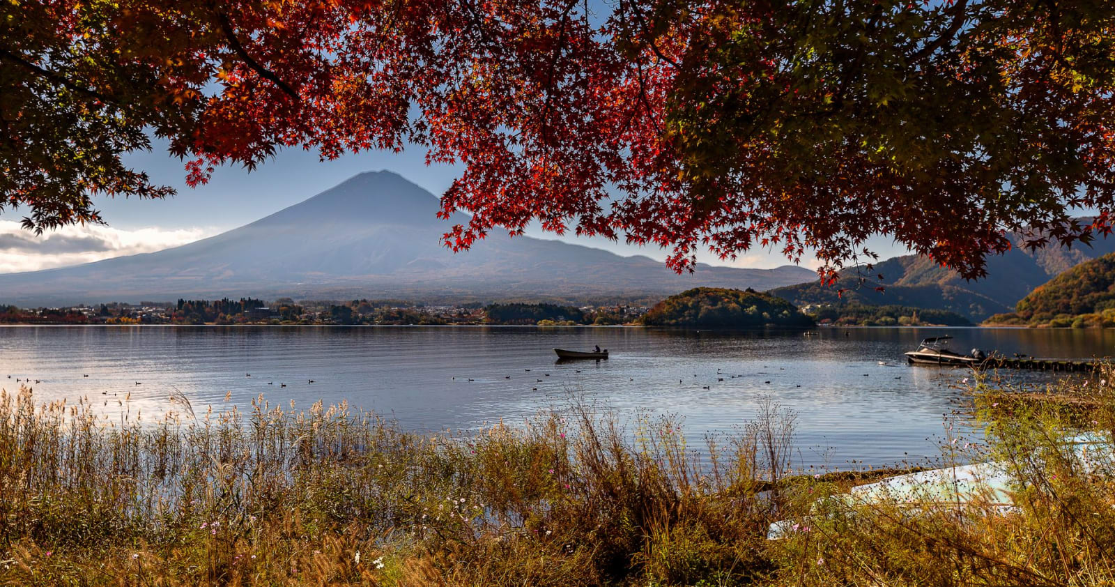Japan in November 2026: Autumn Leaves, Weather and Crowds