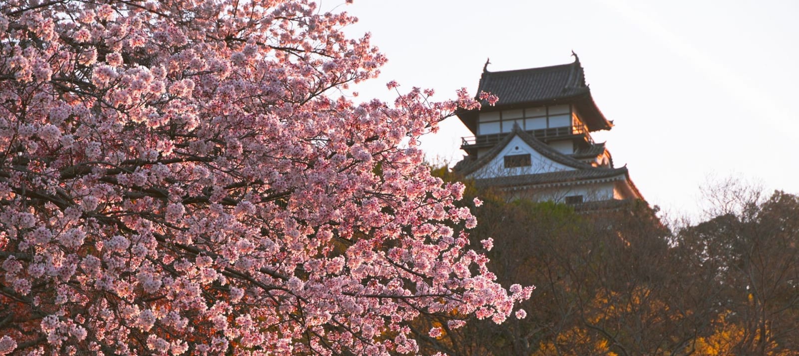 Inuyama Castle