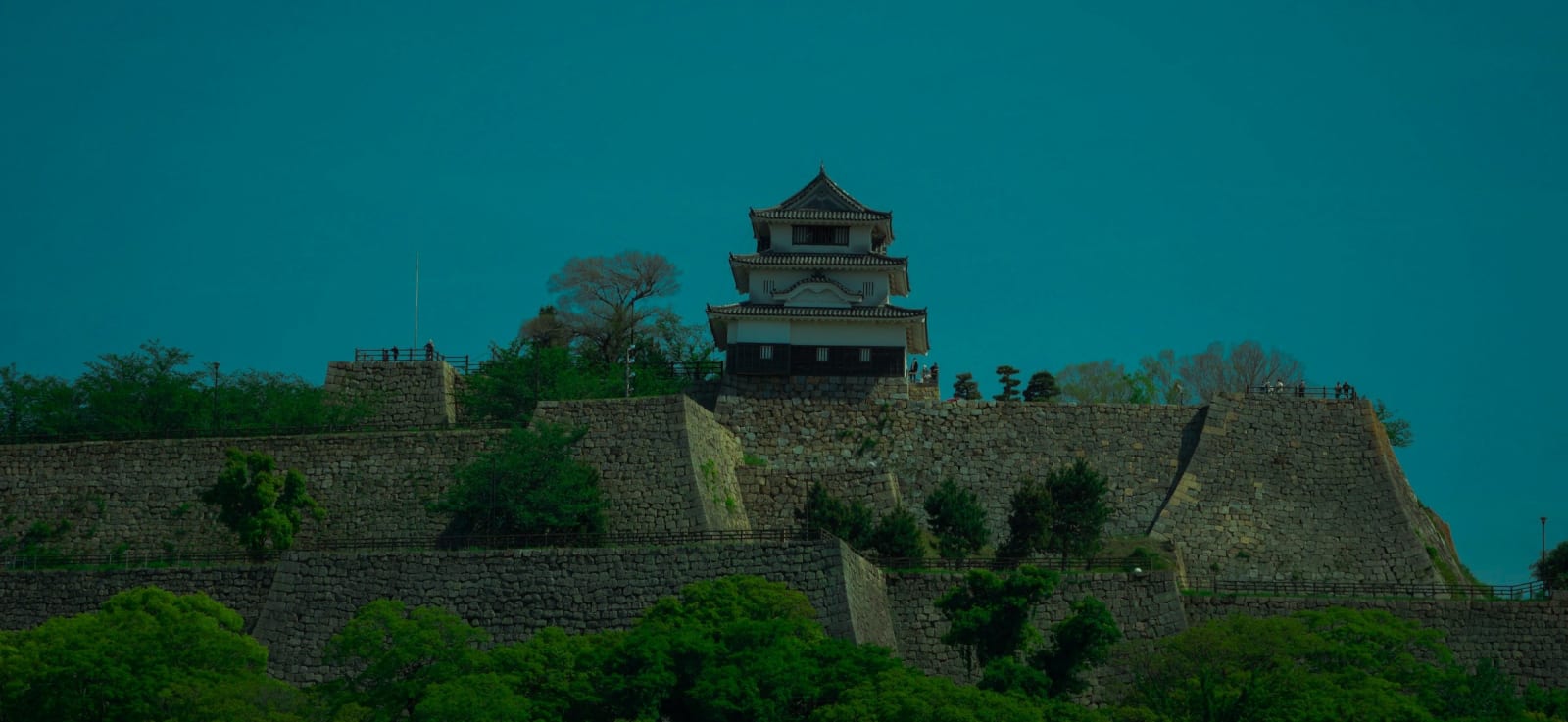Marugame Castle