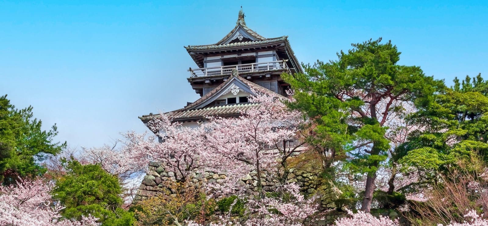 Maruoka Castle
