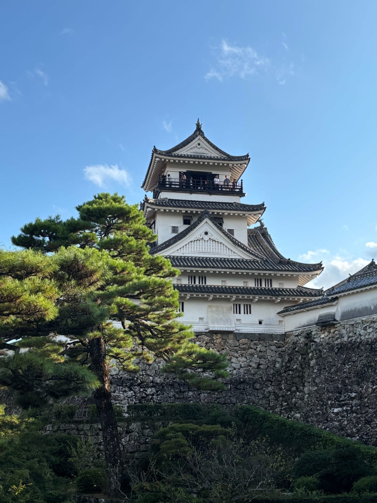 Kochi Castle