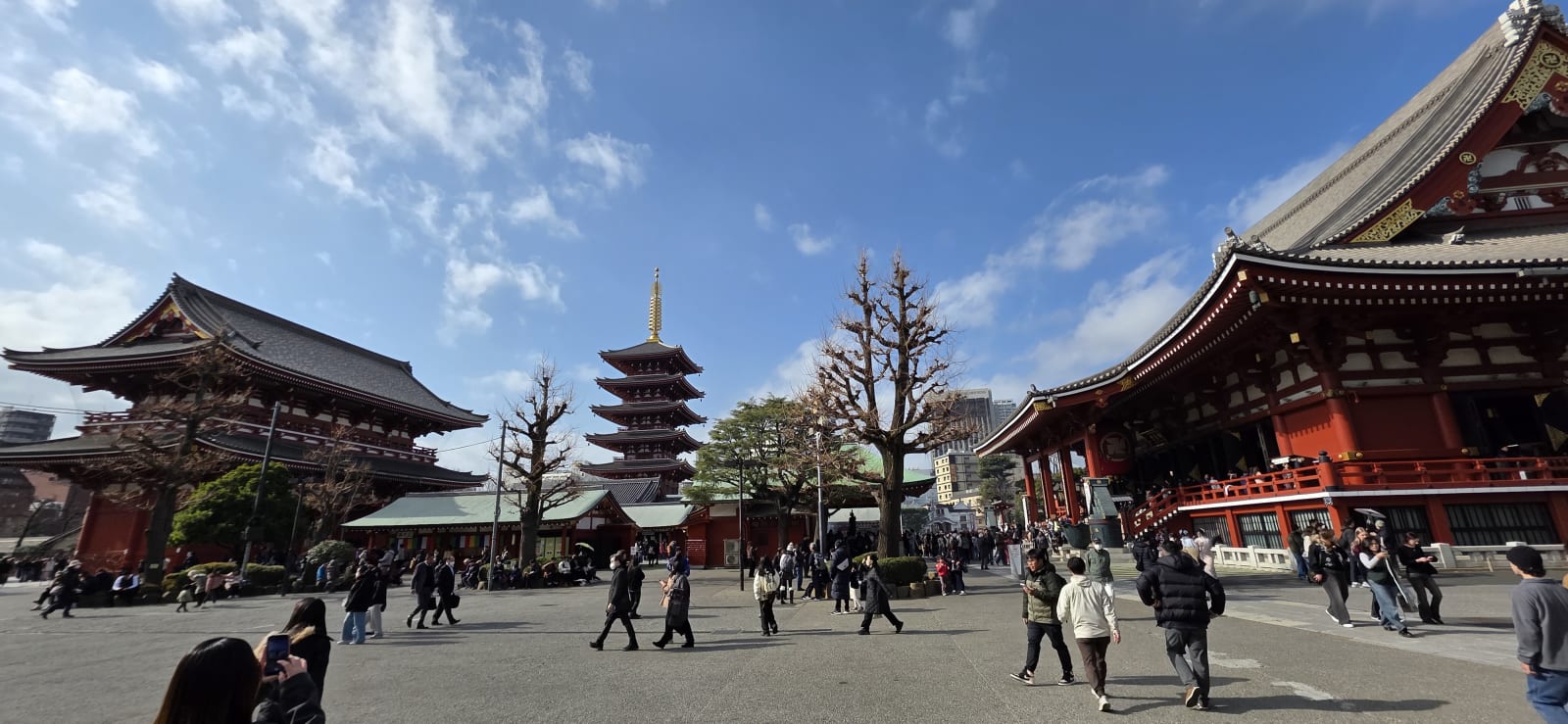 Japan landscape