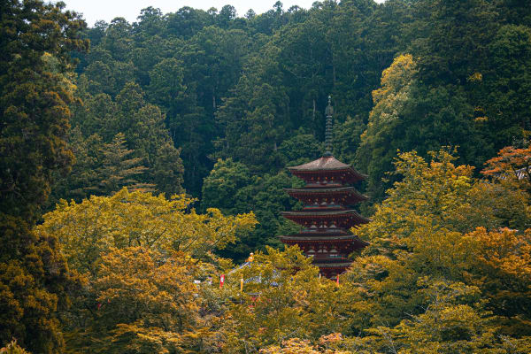 Hasedera Temple
