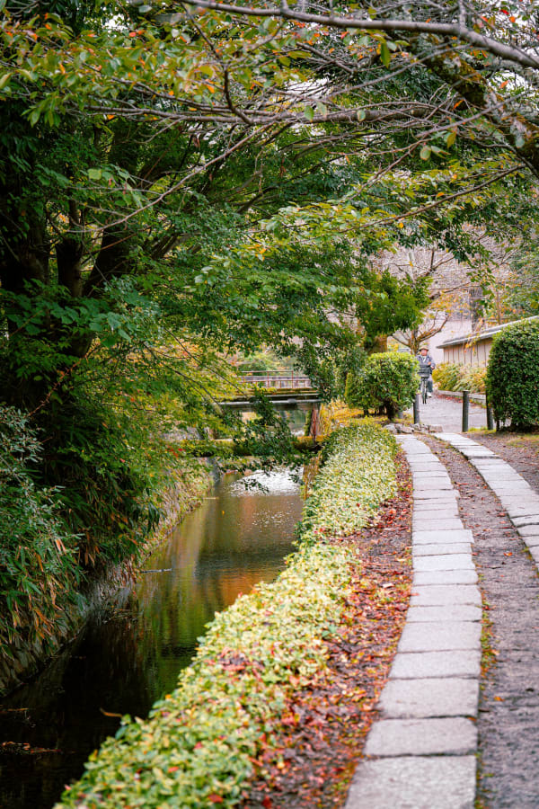 Philosopher's Path